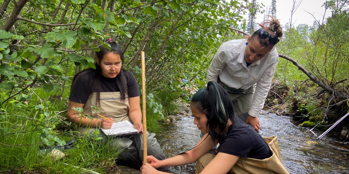 Yukon Water Quality Monitoring Course