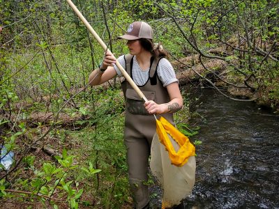 STREAM & DNA Metabarcoding