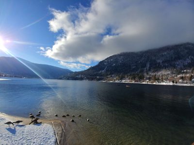 Duck Bay (Kootenay Lake) Restoration Project