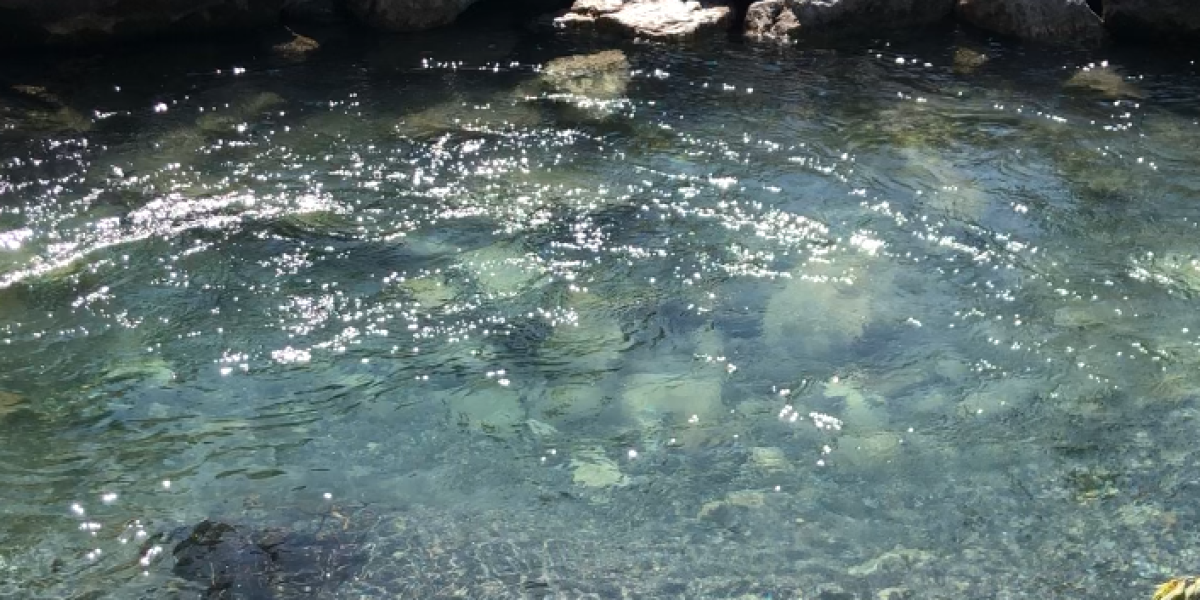 BC Rivers Day Paddle from Invermere to Radium