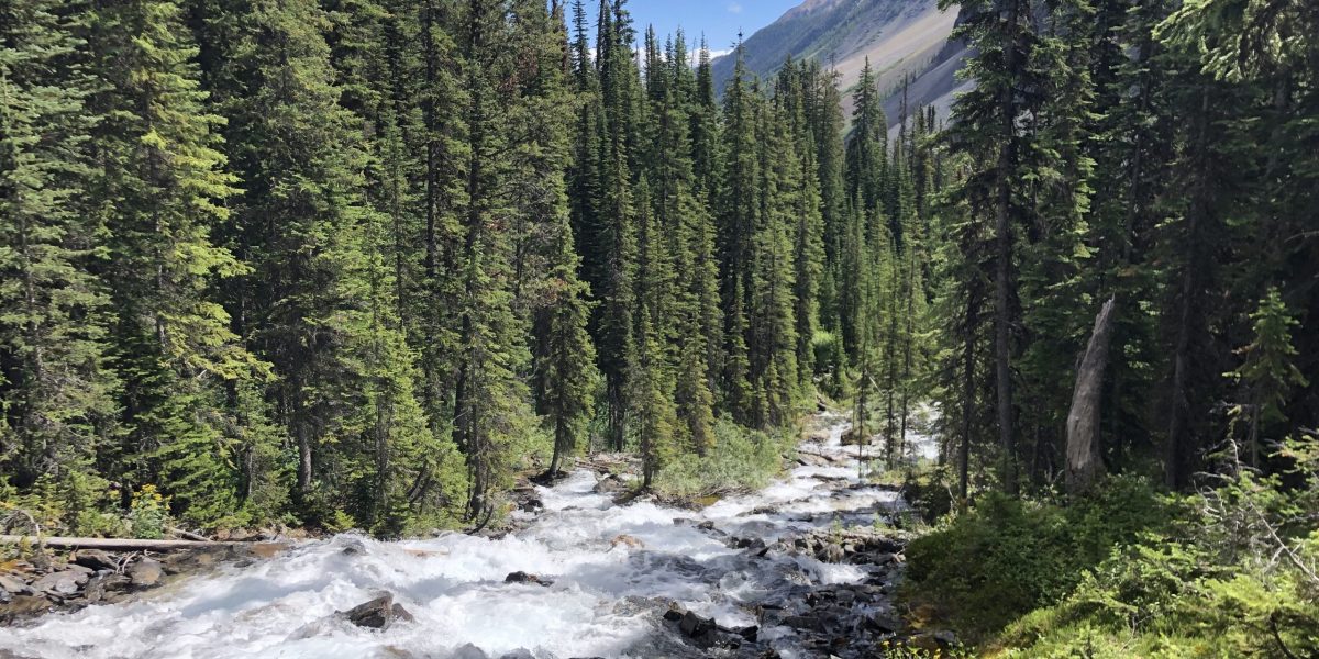 Inaugural Columbia-Kootenay Headwaters Hydrologic Region Meeting