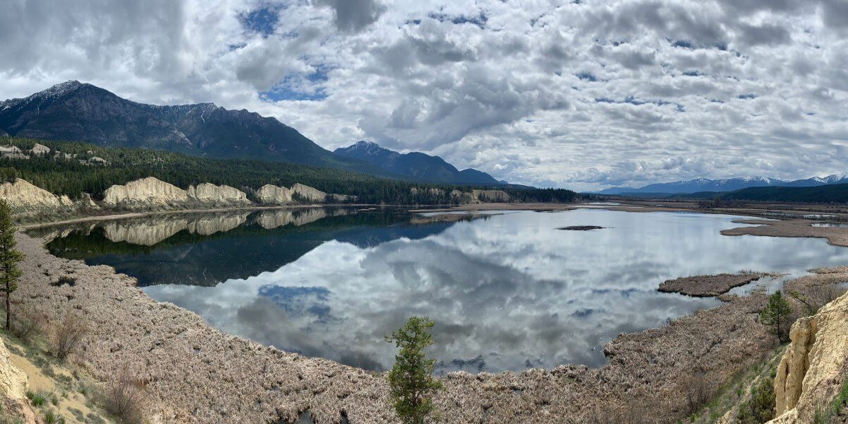 Watershed Monitoring & Restoration: Helping prevent Aquatic Invasive Species in the Columbia Basin