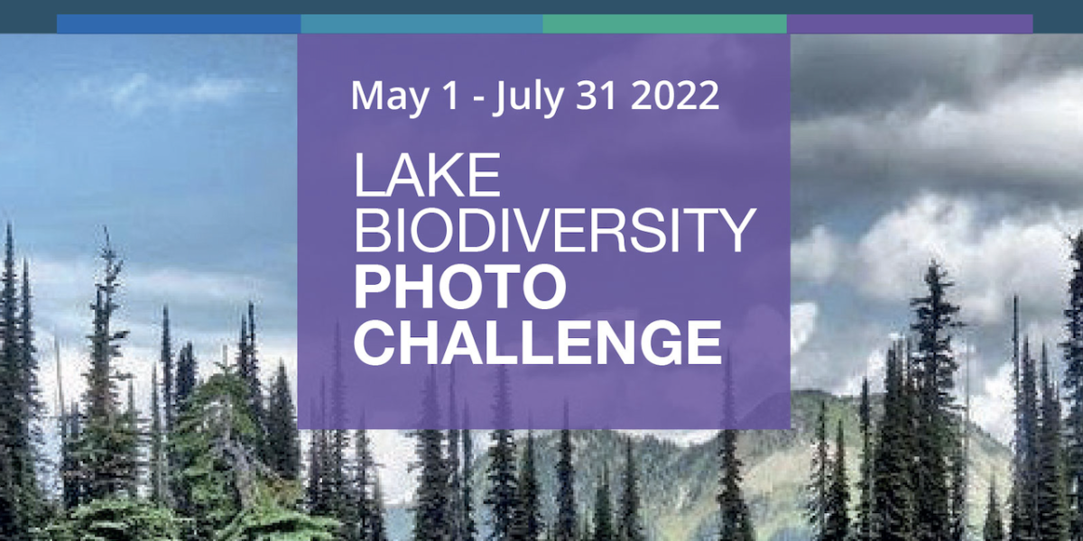 2022 Lake Biodiversity Photo Challenge