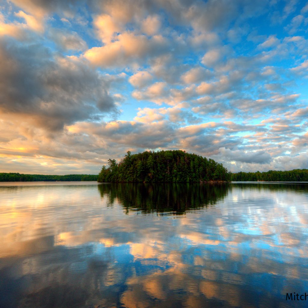 Lake Biodiversity Photo Challenge 2022 - Living Lakes Canada