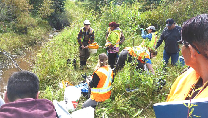 Water researchers in thick vegetation by stream