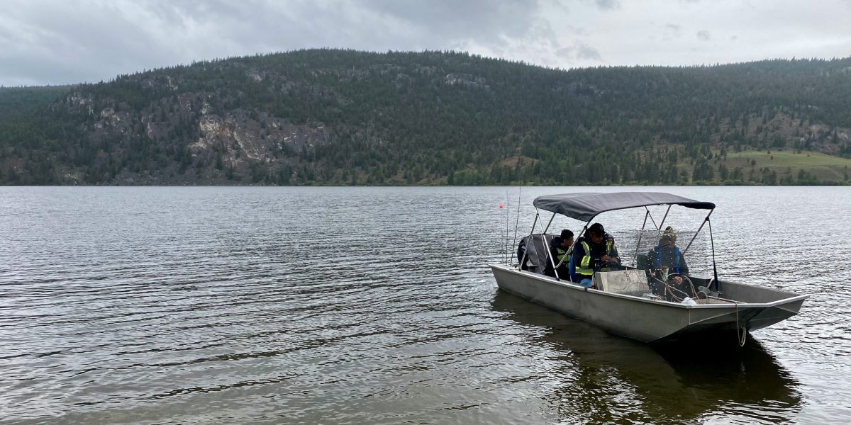 Nicola Lake Field Survey