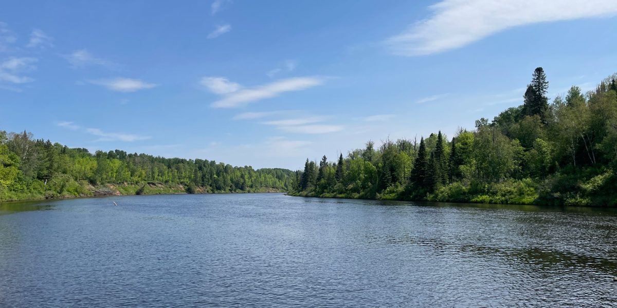 Water & Environment Gathering: Celebrating our Indigenous Guardians