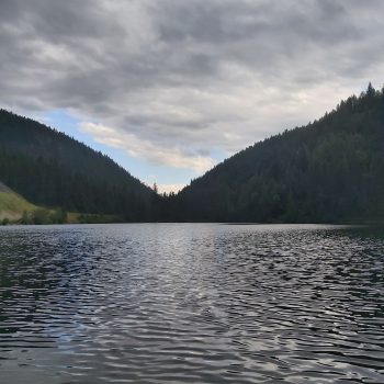 A look at Pillar Lake and surrounding trees from my paddle board.