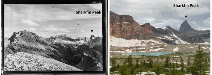 Old and new photos of the Talus Lake Glacier