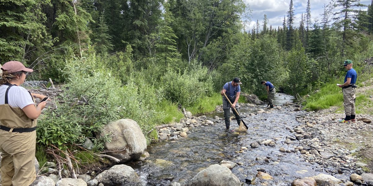 Watershed Workshop with the University of Calgary