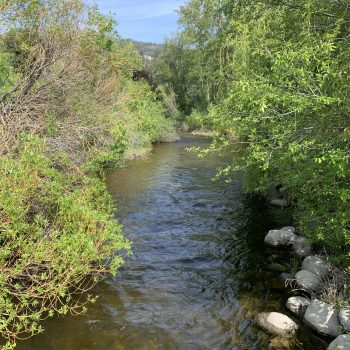 Trepanier Creek flowing into Lake Okanagan.