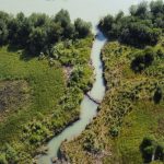 Aerial shot of the Columbia River Wetlands. CWSP Photo