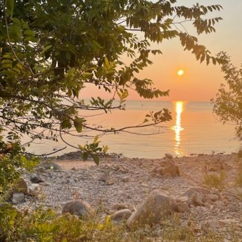 Peeking through the trees to view the shore at sunset.