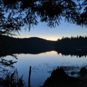 Bleeker Lake summertime at night.