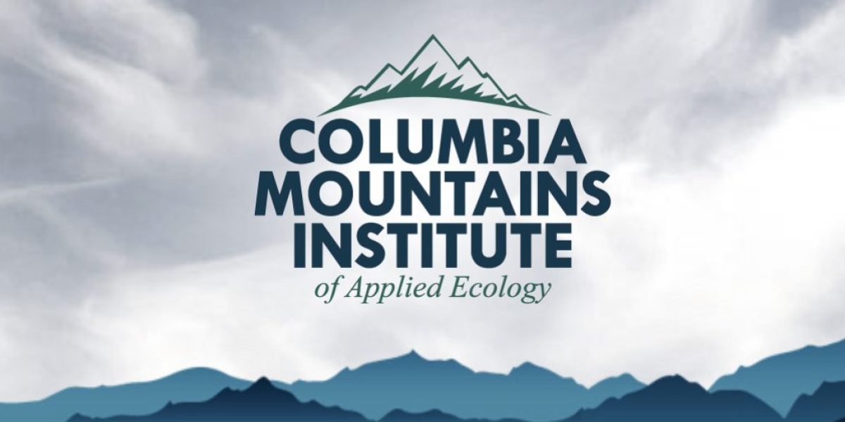 CMI Annual Researchers’ Forum: From Valley Bottom to Mountains Tops