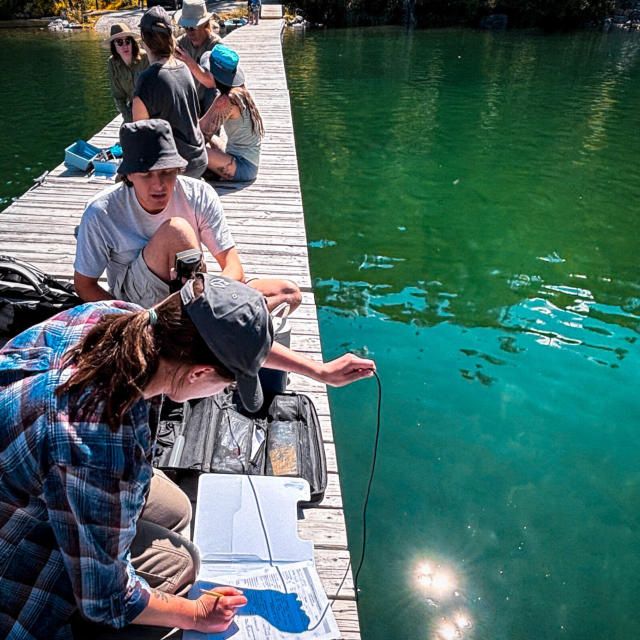 One Day of Action for Water