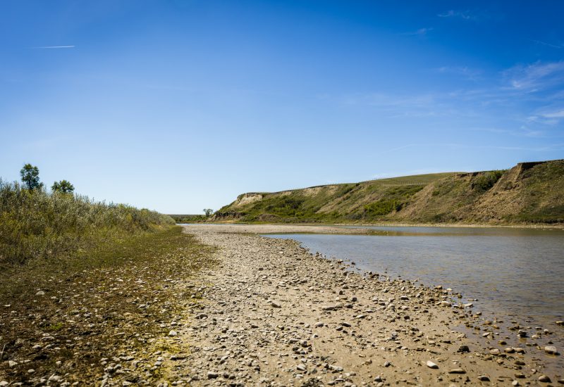 Belly River in the Oldman watershed in May 2025. Photo by Rachel Morris/OWC