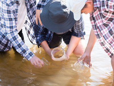 Pen Pals for Water