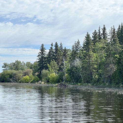 Lac La Biche in June 2026 showing high water levels.