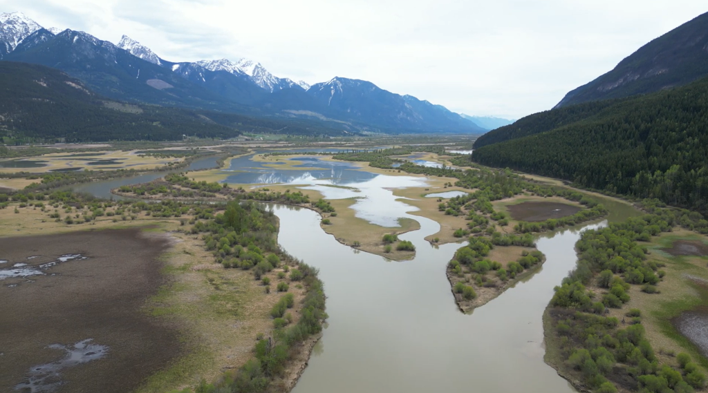 A section of the Upper Columbia River where the river displays its natural tendency to form side channels and bends. (LLC Photo)