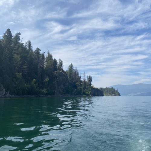 2026-07-14-okanaganlakeprefimpsurvey-25-1 Okanagan Lake at Ellison Provincial Park. All photos by Hanneke Brooymans, LLC