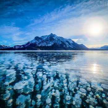 A beautiful wide angle shot showcasing the gorgeous ice bubbles upon frozen Abraham lake.