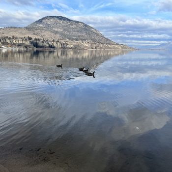 The beautiful lake okanagan, when the lake looks like glass and mirrors the sky.