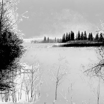 High contrast black and white winter scene. Exceptionally cold day. Had to act fast!

Much of the forest near the lake or on islands, I believe, has never seen modern industrialization.

In winter ...
