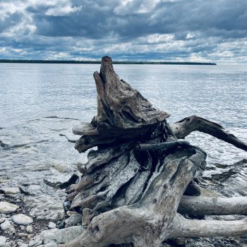 This photo was taken on the shore of Lake Winnipeg on beautiful Hecla Island. From the shape of the driftwood, you can see why I call this picture ‘Howling Wolf’.