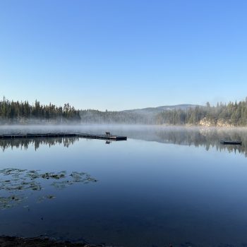 Morning mist.