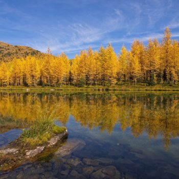 It's quite a hike to reach this unnamed mountain lake in Banff National Park, but definitely worth the effort during golden larch season, when the surrounding forest turns bright gold for a several da ...