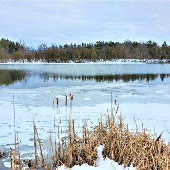 Reservoir Lake in Milne Dam Conservation Park, Markham, Ontario.