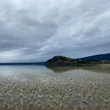 Changes at Łù'àn Män - Kluane Lake

Climate change has caused the massive Kaskawulsh Glacier to retreat so much that its meltwater abruptly switched direction, in the first documented case of 