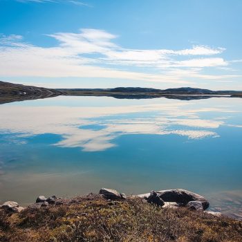 Early summer reflection on a super calm day.