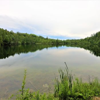 Crawford Lake, Milton, Ontario.
