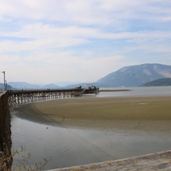 Salmon Arm Wharf - largest wooden wharf in North America.