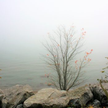 Fog over Lake Ontario on a Fall Day