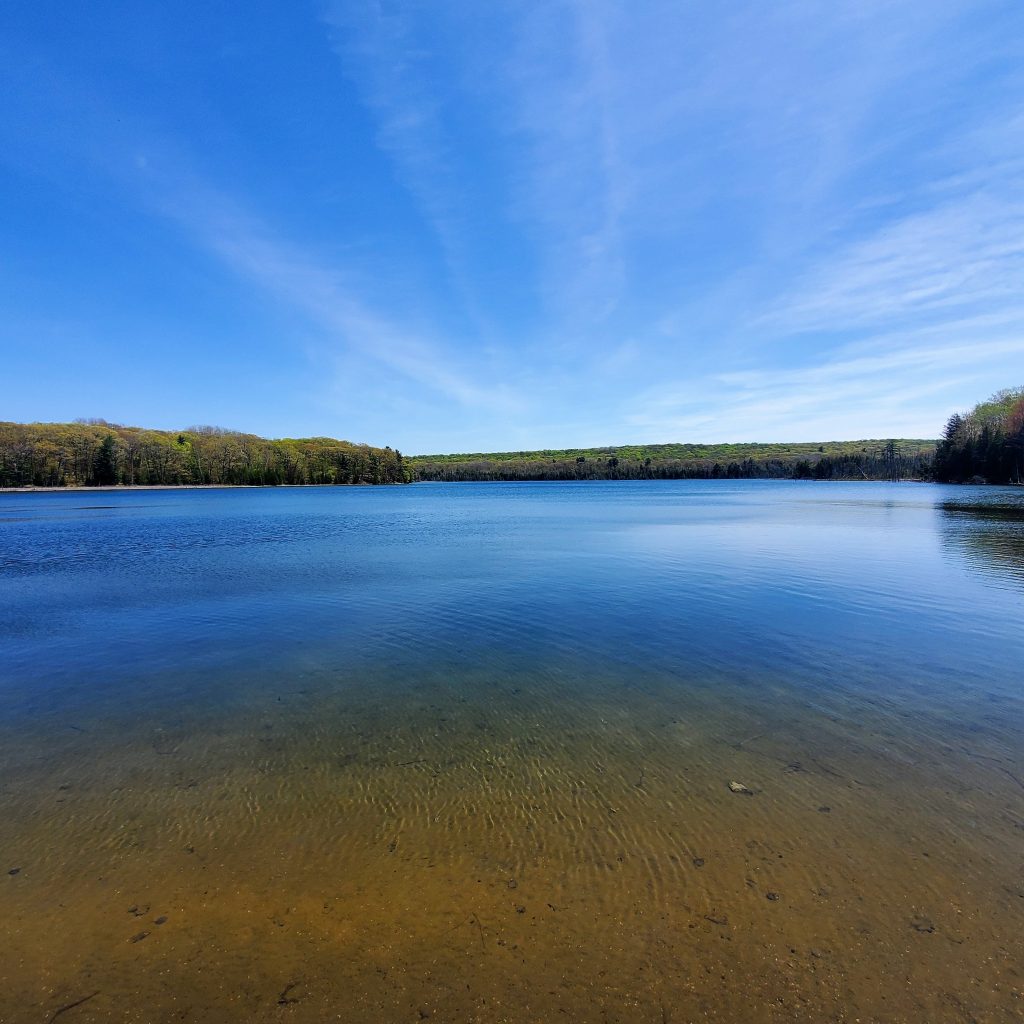 Glenda Johnson Spine Lake Living Lakes Canada