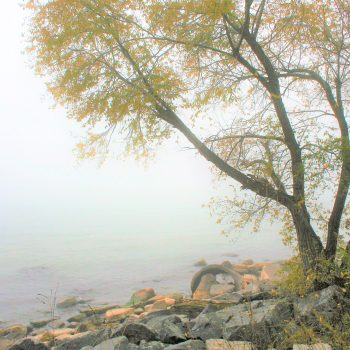 Misty Fall day, Lake Ontario.