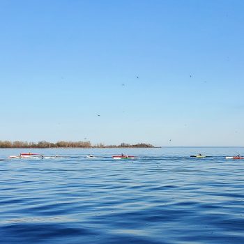 Seagulls and Kayakers on Lake Ontario.