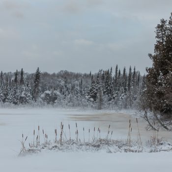 A windy winter day with blowing snow lent a softening effect to the frozen lake.