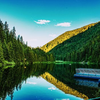 The beautiful symmetry a peaceful lake brings.