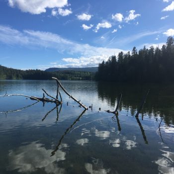 Afternoon on Gardom lake.