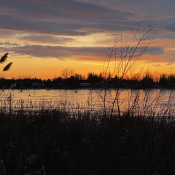 A beautiful sunset on frozen Lake Scugog mid-February 2024.