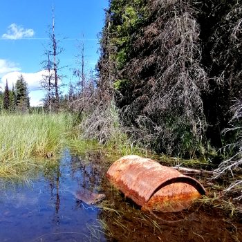 This barrel was once part of a small bridge or dock structure.