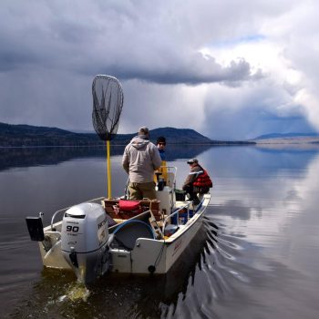 Conservation checking the fish populations in Moberly lake.
There has been a problem with the fish populations, since the early 70’s.
Restocking efforts and programs have been taking place since 2 ...