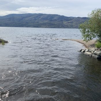 Trepanier Creek running into Lake Okanagan.