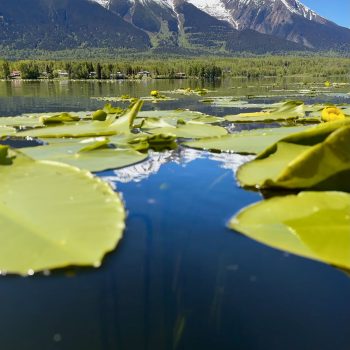 Paddling among the lily pads under the watchful eye of Hudson Bay Mountain.