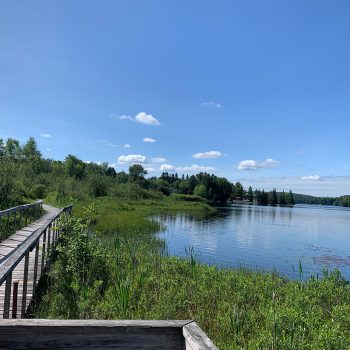 I've spent every summer on Perry Lake, and every year I see new and beautiful wildlife. I could spend hours sitting in the marshy wetlands, listening to the blackbirds and the dragonflies, watching tu ...