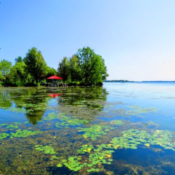 The attraction of the Bay of Quinte, a haven for wildlife and people. Ever-changing and always beautiful.